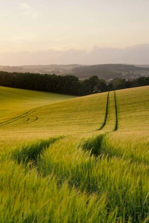 Vente-Achat-Terres-Agricoles