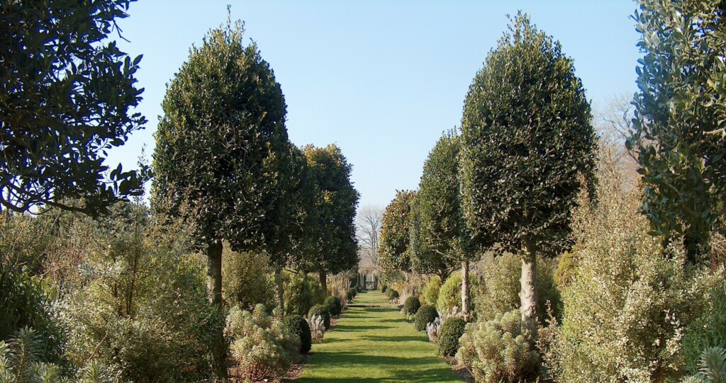 jardin à l'anglaise