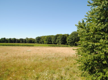terres agricoles